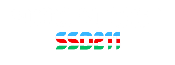 SSD211